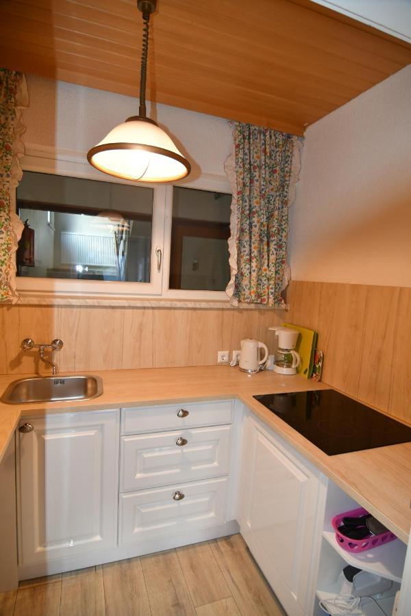 Mountain View Apartment Bad Mitterndorf Zewnętrze zdjęcie