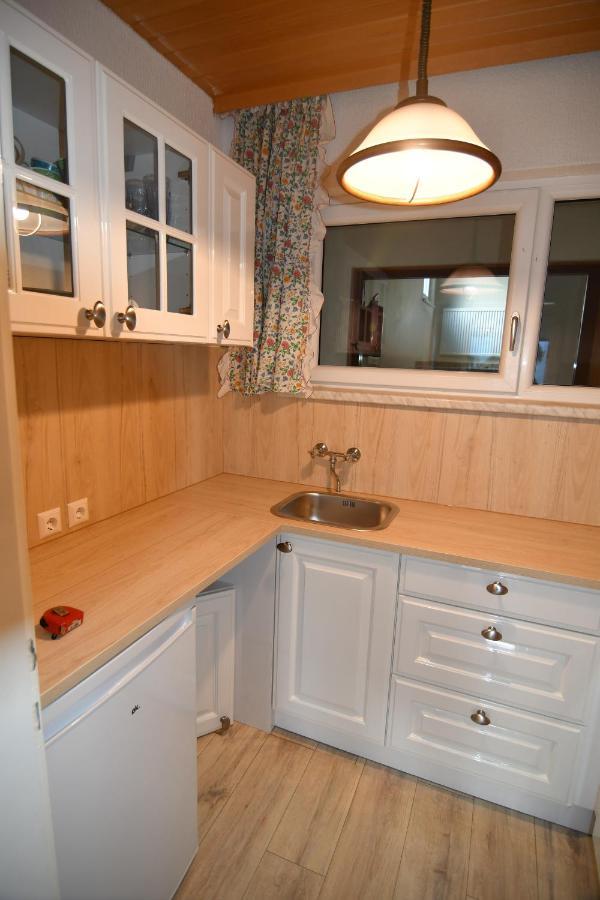 Mountain View Apartment Bad Mitterndorf Zewnętrze zdjęcie